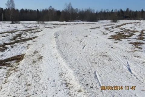 Деминский марафон Worldloppet-2014 в Рыбинске отменен. С фото
