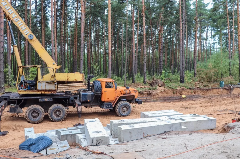 Разрешение на строительство коттеджей в Прусовском лесу не выдавалось