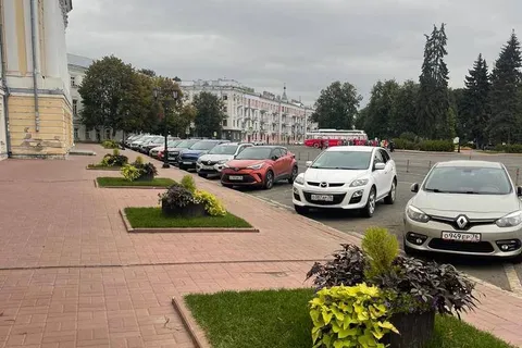 В центре Ярославля меценаты посадят новые деревья взамен спиленных