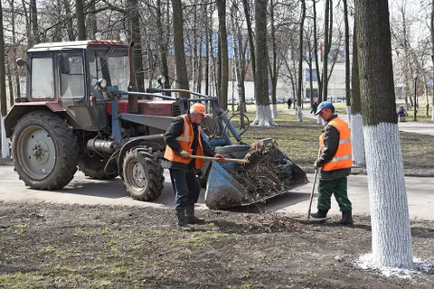 В месячнике по благоустройству приняли участие более 155 тысяч ярославцев