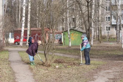 В центре Ярославля во дворах прошли субботники