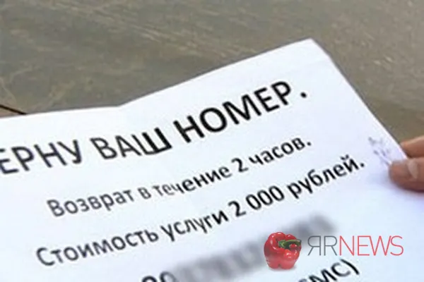 В Переславле Ярославской области задержали похитителей автомобильных номеров