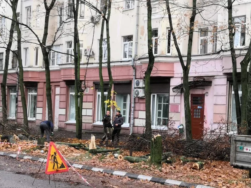 Мэрия Ярославля разрешила ТГК-2 вырубить аллею кленов