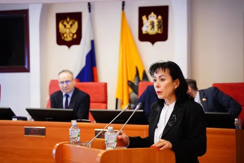Депутаты Яроблдумы поддержали новые меры соцподдержки беременных