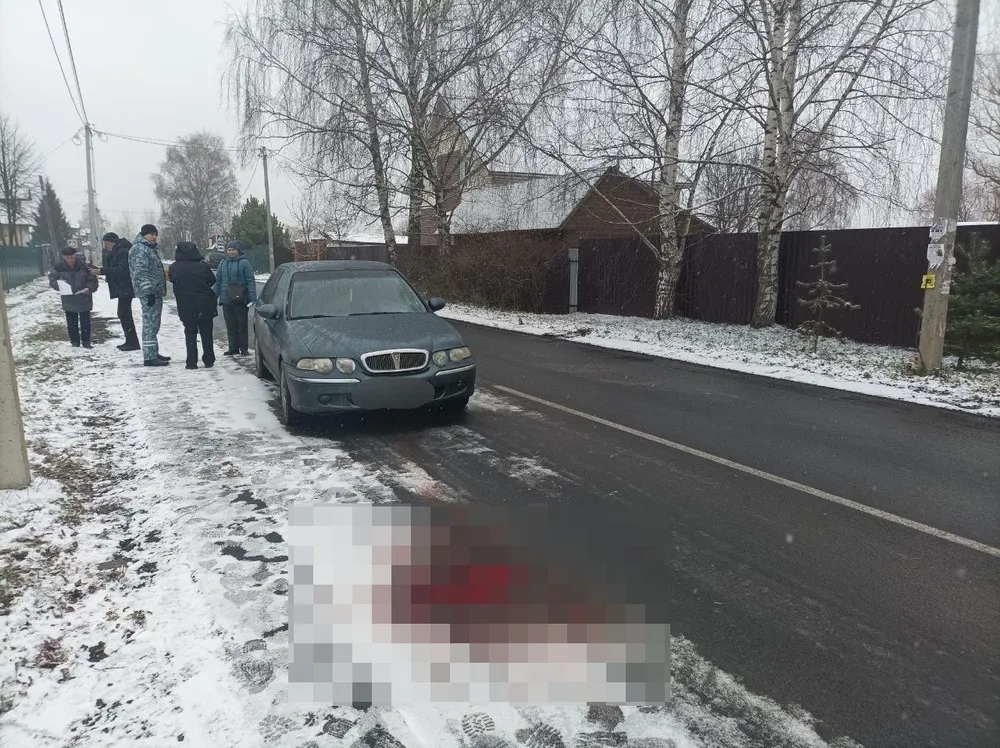 Под Ярославлем на дороге насмерть сбили девочку 