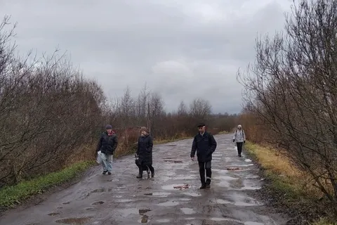 Ярославские садоводы воюют за дорогу