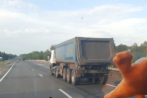 В Ярославской области куриные потроха могли стать причиной страшной аварии