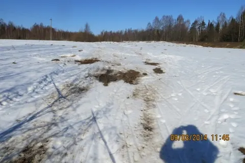 Деминский марафон Worldloppet-2014 в Рыбинске отменен. С фото