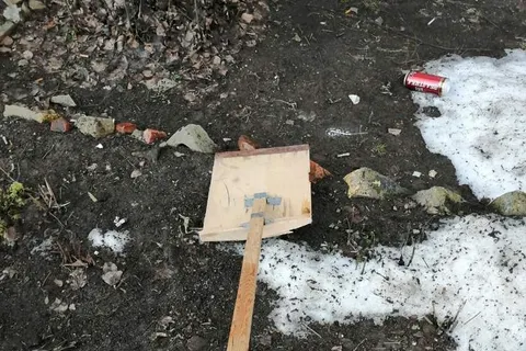 В Ярославле на припаркованный во дворе автомобиль сбросили лопату