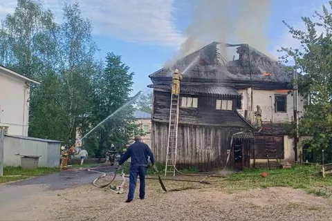 При пожаре в ярославской двухэтажке погибли собака и три кошки