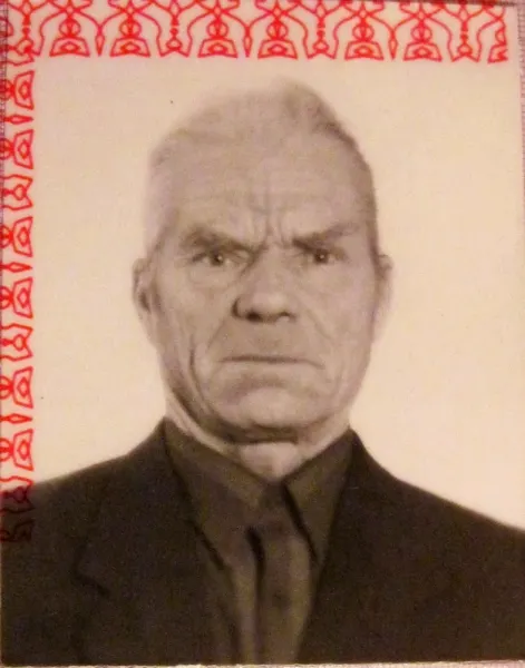Пропавший в Ярославском районе грибник сам вышел из леса