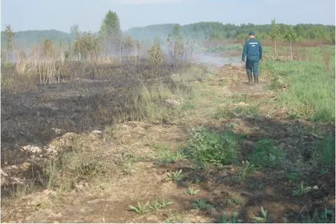 В Ярославской области горел торфяник