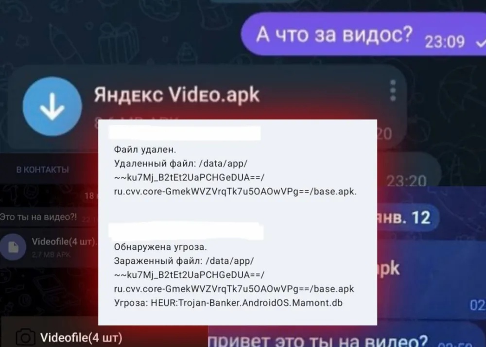 В полиции призвали ярославцев не открывать видео от «Мамонта»
