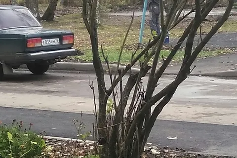 Варвары давили клумбы ковшом трактора: ярославцы «благодарят» мэрию за благоустройство
