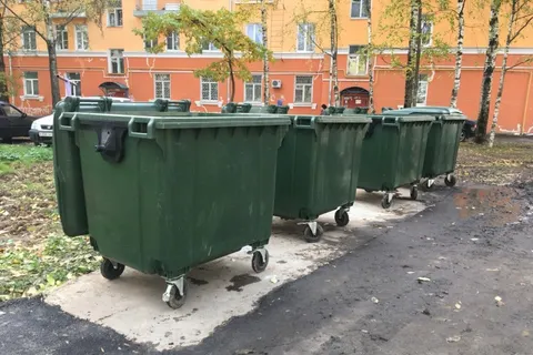 В Рыбинске на месте контейнерной площадки высадили молодые сосны