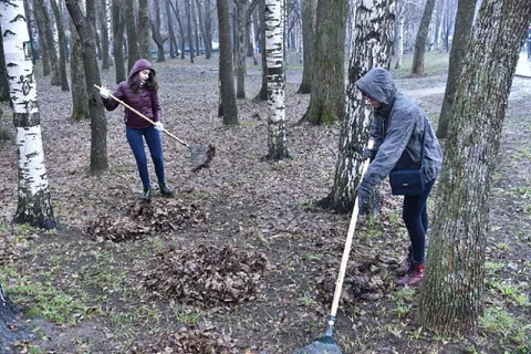 Во время субботника ярославцы ликвидировали более семисот несанкционированных свалок