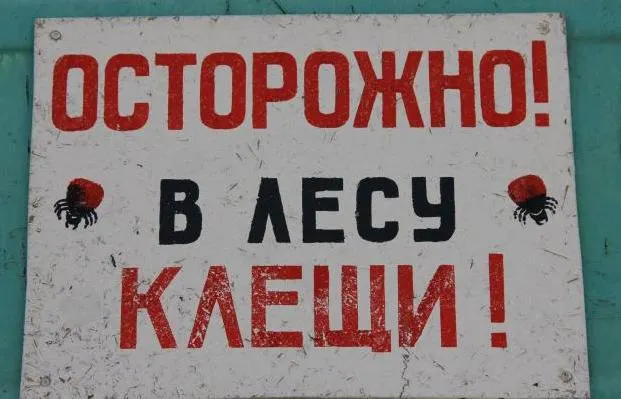 В Ярославской области наступил новый пик активности клещей