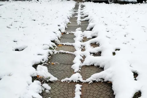 Ярославцы делятся фотографиями первого снега