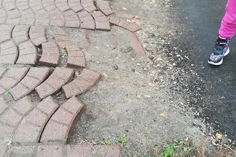 «Кустарное» благоустройство: в брагинском парке ярославцы нашли норы асфальтогрызов