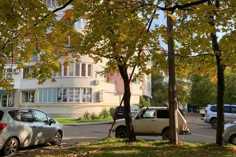 В Ярославле для организации парковки вырубили клены