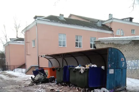 Мэрия Ярославля не справляется с уборкой мусорных площадок