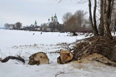 В Ярославской области проводится экологическая реабилитация озера Неро