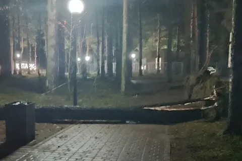 В Ярославле устраняют последствия ночного урагана