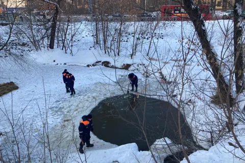В Ярославле спасатели выручили уток из ледового плена