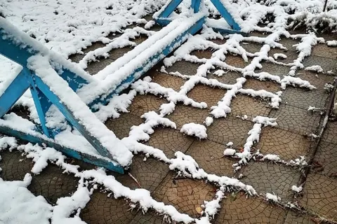 Ярославцы делятся фотографиями первого снега