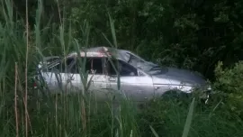 Под Рыбинском легковушка налетела на лося