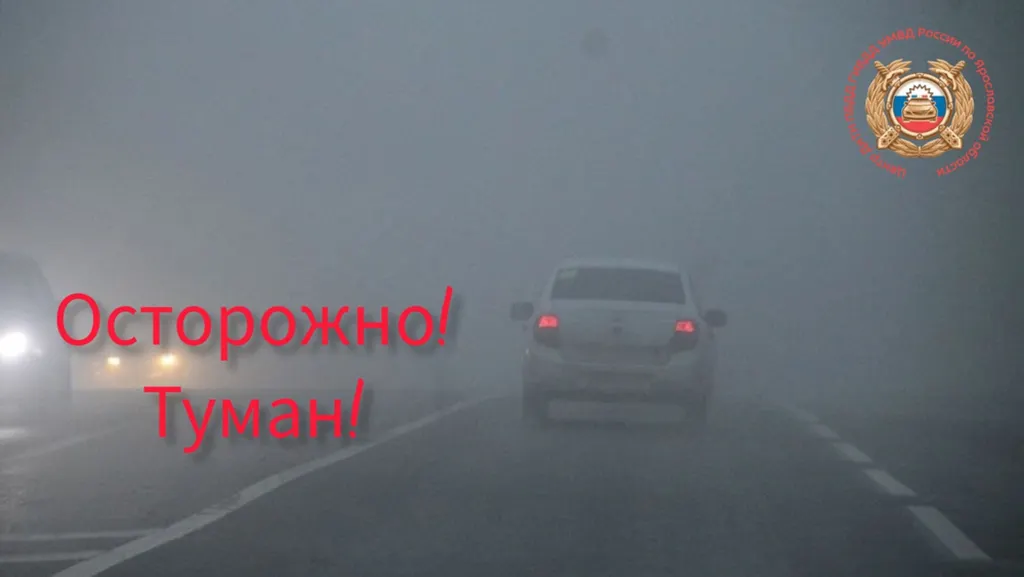 Госавтоинспекция предупредила ярославцев о тумане на дорогах