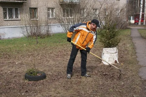 В центре Ярославля во дворах прошли субботники