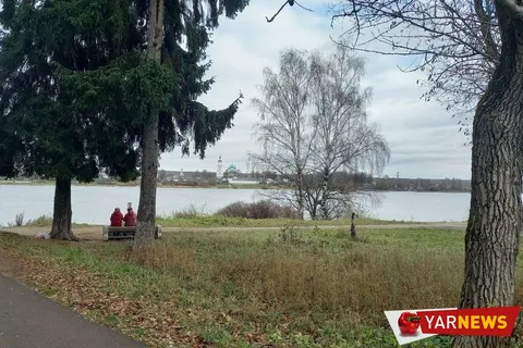 В Ярославле «зависли» итоги общественных обсуждений по благоустройству Павловской рощи