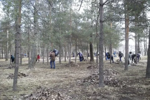 В общегородском субботнике в Ярославле приняли участие тридцать тысяч человек