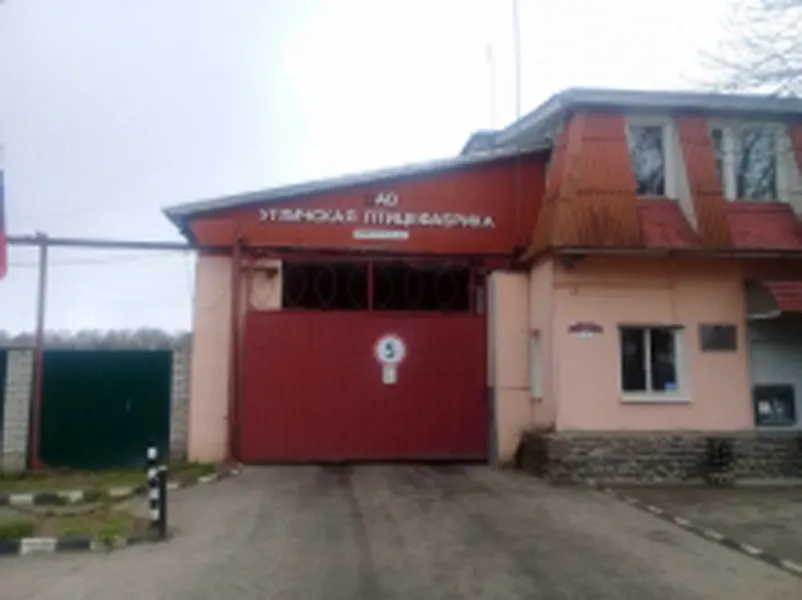 В Ярославской области приставы опечатали куриный крематор