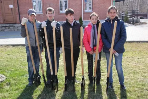 В Ярославле сажали каштаны и лиственницы