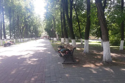 В Ярославле Первомайский бульвар превратился в спальню для бомжей