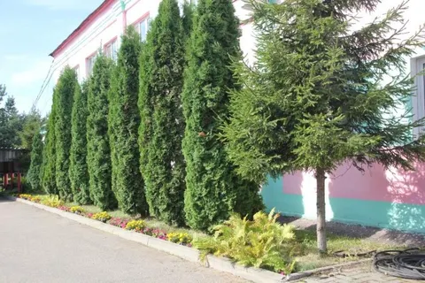 Итоги конкурса «Ярославль в цвету» подведут осенью