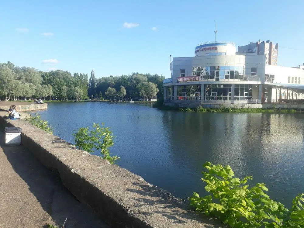 В Ярославле благоустраивать парк и строить кладбище будут «Кустари»