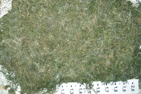 Наркоман из Ярославской области купил 4 мешка марихуаны у цыгана