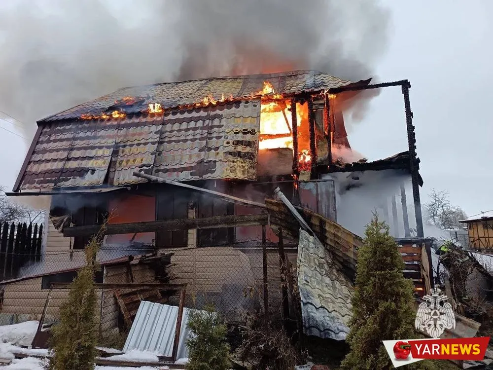 В МЧС назвали причину масштабного пожара в ярославском садоводстве