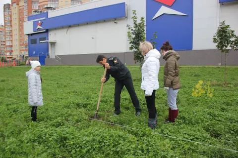 Во Фрунзенском районе Ярославля появилась новая аллея