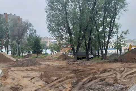 «Мешают трактору»: в ярославском парке подрядчик вырубает липы