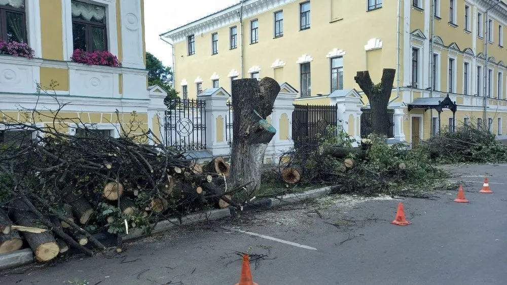 В Ярославле на Волжской набережной вырубают липы