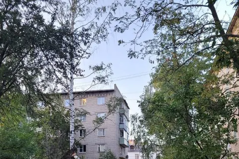 В Ярославле дерево рухнуло на автомобиль
