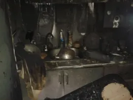    В Рыбинске в пожаре погибли собака и два попугая
