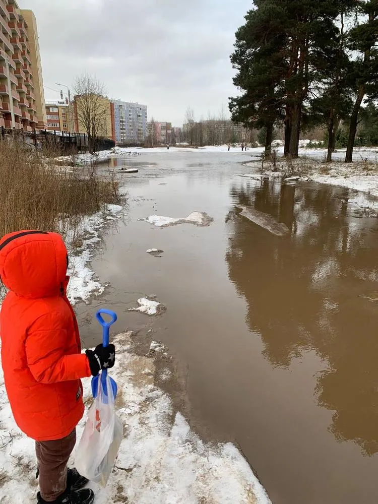 Улица под Ярославлем превратилась в реку