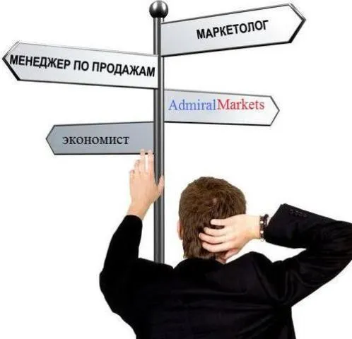 Самые популярные специальности среди абитуриентов Ярославля