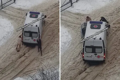 В нечищеных дворах Ярославля регулярно застревают машины «Скорой»