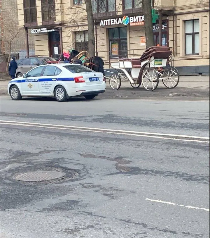В Ярославле остановили карету с лошадьми за нарушение ПДД